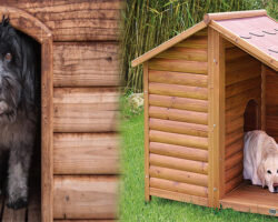 Custom Cedar Dog House – Advantages of Building Your Own Wooden Dog House