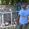 Chicken Pen Plans – 4 Important Considerations When Building a Chicken House