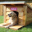 Insulated Dog House Plans: How They Work