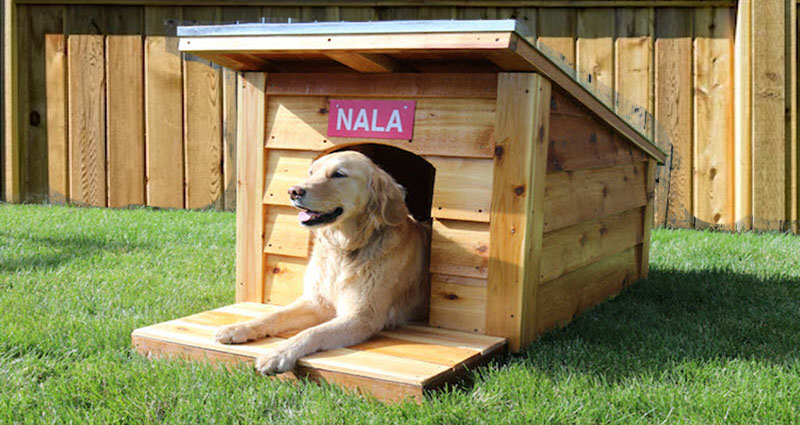 Insulated Dog House Plans: How They Work
